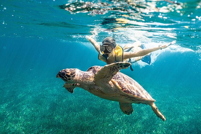 5-in-1 Cancun Snorkeling: Turtles, Reef, Musa, Shipwreck, Cenote - Guides, safety, and comfort in the water