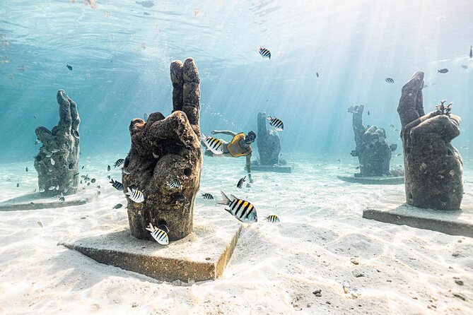 5-in-1 Cancun Snorkeling: Turtles, Reef, Musa, Shipwreck, Cenote - Crowds, pace, and the small-group question