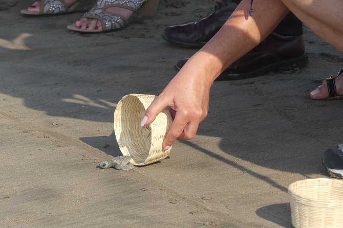 6 Hour Fun-Filled Tour Perfect for Cruise Travelers & Hotel Stays - Caleta and Caletilla for lunch and internet