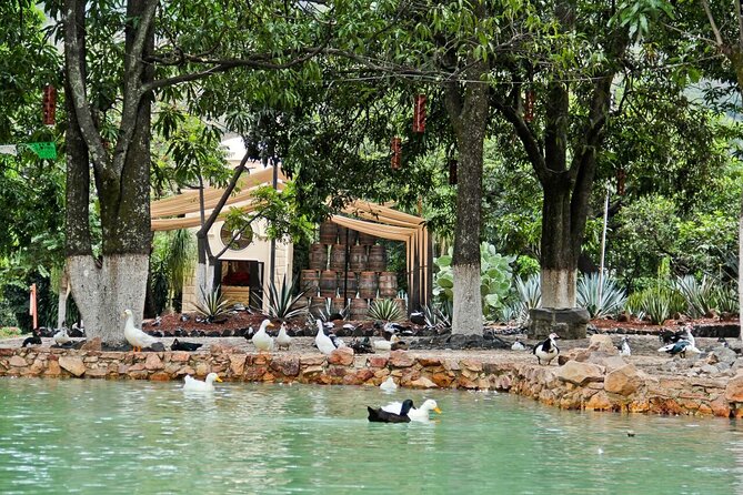 A unique tour! Visiting Hacienda Casa herradura From Guadalajara - Food, shopping, and what to bring