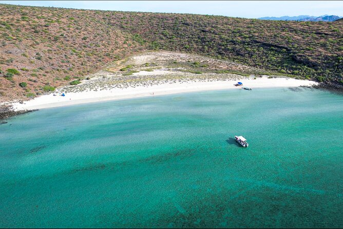 Adventure to Espiritu Santo Island: Snorkel with Sea Lions and Beach - Why the eight-person group matters