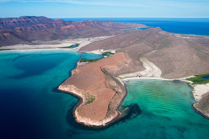 Adventure to Espiritu Santo Island: Snorkel with Sea Lions and Beach - Snorkeling with the sea lions at Los Islotes