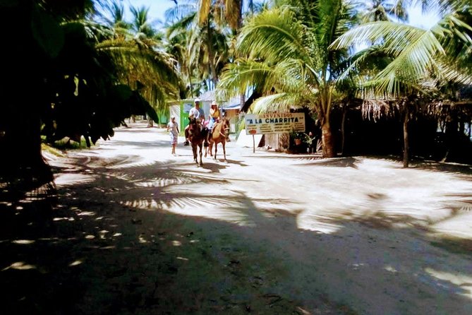 Afro-Mex Village Experience -Horseback Ride -Turtle Hatch & Crocs - Reaching Playa de Barra Vieja by minivan