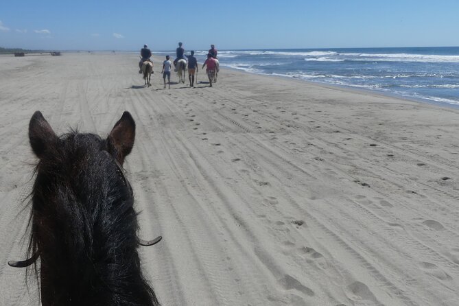 Afro-Mex Village Experience -Horseback Ride -Turtle Hatch & Crocs - Meeting crocodiles at the new farm