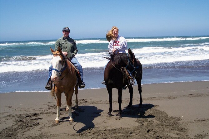 Afro-Mex Village Experience -Horseback Ride -Turtle Hatch & Crocs - Is $120.99 a fair price?