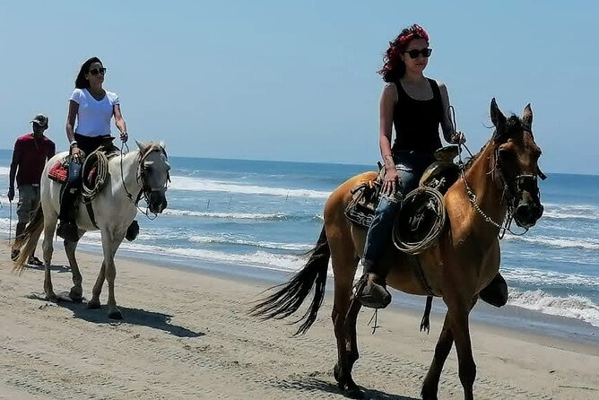 Afro-Mex Village Experience -Horseback Ride -Turtle Hatch & Crocs - Riding horses along Barra Vieja beach