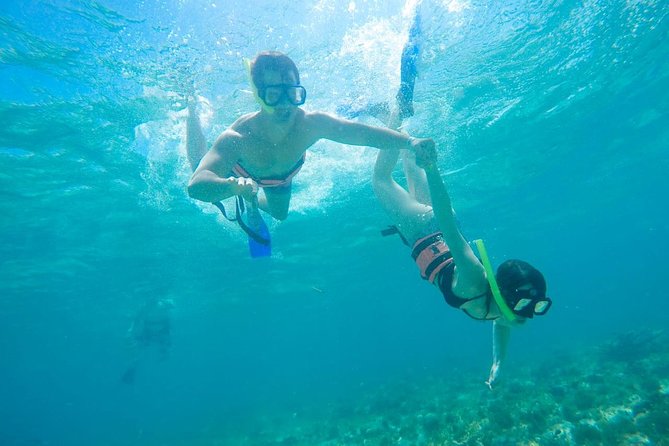 Afternoon Half-Day Catmaran Sailing and Snorkel Adventure - Drinks, food, and the real price