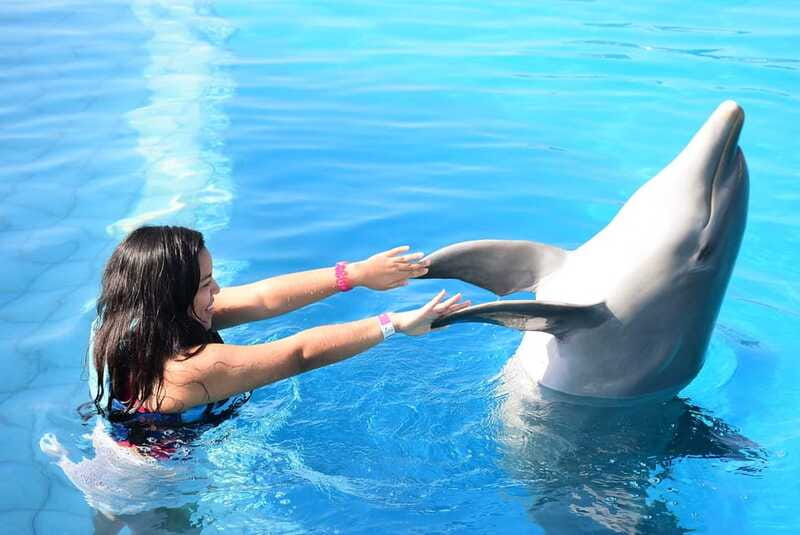 Akumal: Dolphin Encounter - A Beach Setting, But Not a Full Beach Day