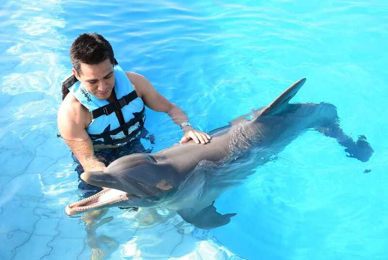 Akumal: Dolphin Encounter - The Real Cost Is More Than $99