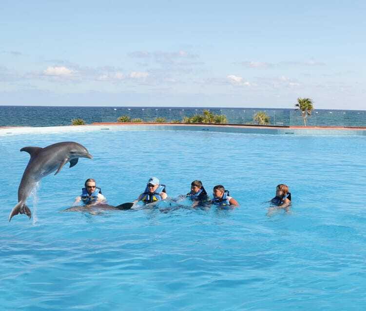Akumal: Dolphin Encounter - Family Height Rules Need Careful Planning