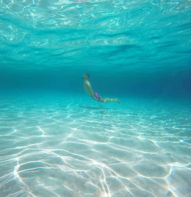 Akumal: Snorkel with Marine Fauna and an Expert Guide - The guides are a major part of the experience