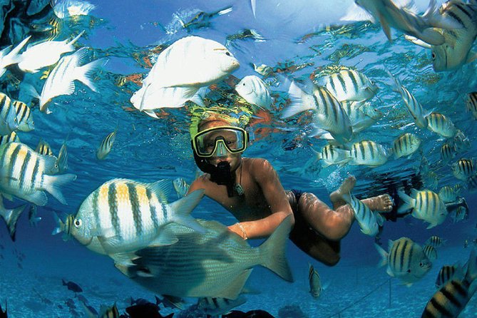 All Inclusive Caribbean adventure, reef snorkeling, Food & Drinks - Sailing out with music, drinks, and open water