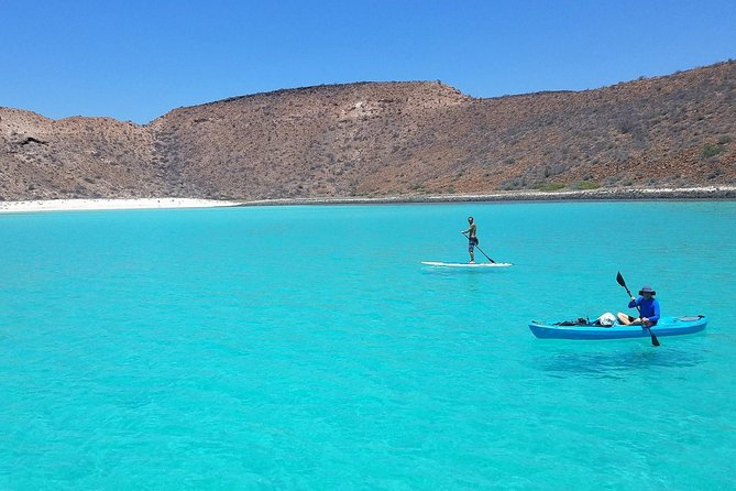 All-Inclusive Catamaran Tour | Beaches & Sea Lions from Los Cabos - Snorkeling, kayaking, and paddleboarding without extra rentals