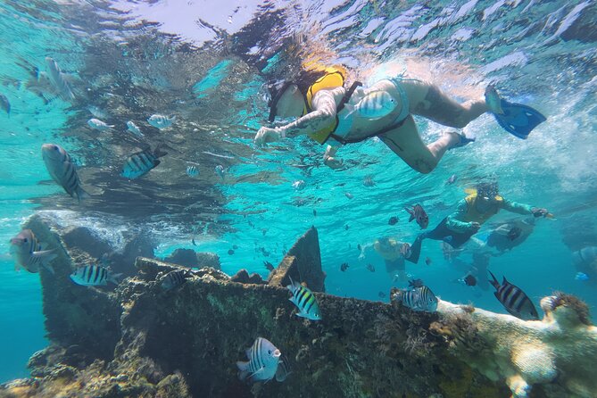 All-Inclusive Isla Mujeres Catamaran with Free Transportation - Practical details that make the day easier