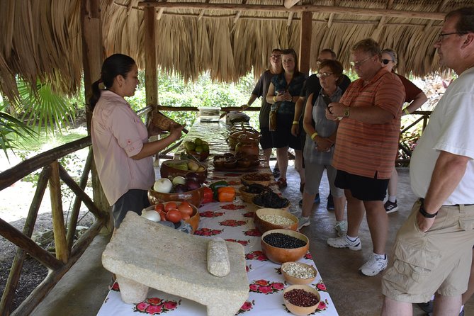 Ancient Chacchoben Mayan Ruins & Mayan Experience from Costa Maya - What $119 gets you