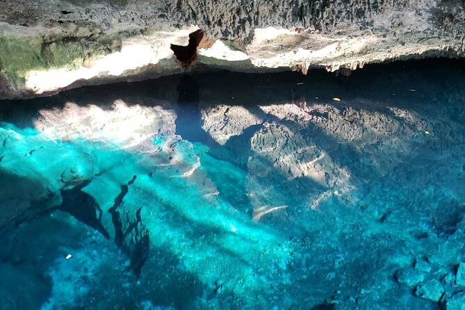 Archaeological Tour in Tulum and Coba with Kuxtal Cenote - Kuxtal Cenote and the two different experiences