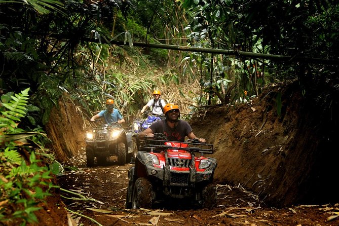 ATV Combo Horseback Riding, ATV, Ziplines, Cenote and Lunch - Ziplines through the jungle canopy