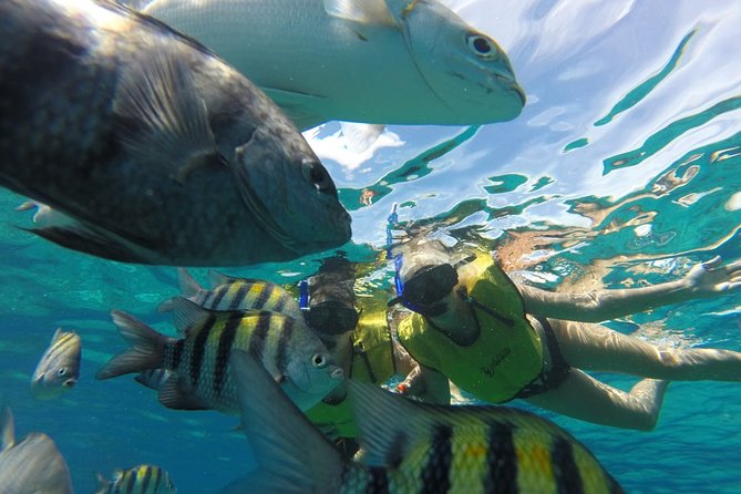 ATV Mud Kicking and Snorkeling by Boat in Cozumel - Who will enjoy this Cozumel excursion?