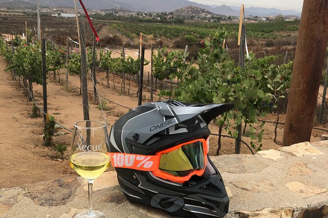 ATV Off-Road Adventure through Valle de Guadalupe + Winery Visit - What happens at Lago Valle Wine Glamping