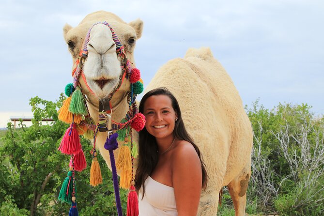 ATV Tour, Camel Ride, Tequila Tasting and Mexican Buffet Lunch - A Baja day built around desert, beach, and lunch