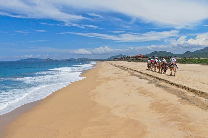 ATV Tour, Camel Ride, Tequila Tasting and Mexican Buffet Lunch - Meeting the camels on the beach