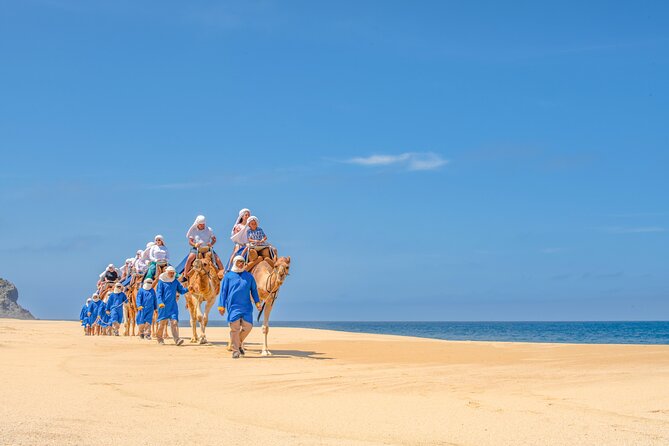ATV Tour, Camel Ride, Tequila Tasting and Mexican Buffet Lunch - Tequila, mezcal, and a buffet by the Sea of Cortez