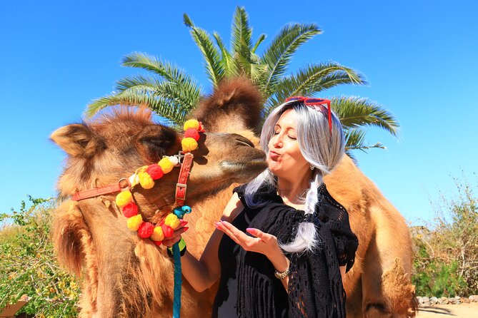 ATV Tour, Camel Ride, Tequila Tasting and Mexican Buffet Lunch - Guides, group size, and the pace of the day