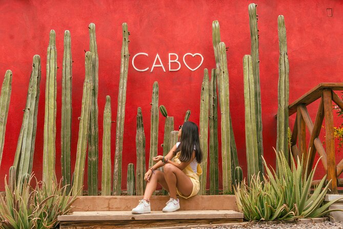 ATV Tour, Camel Ride, Tequila Tasting and Mexican Buffet Lunch - Who should book this Cabo combo?