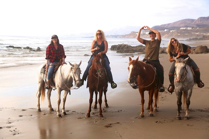 Authentic horseback riding in beautiful La Mision - Calm horses for beginners, energy for experienced riders