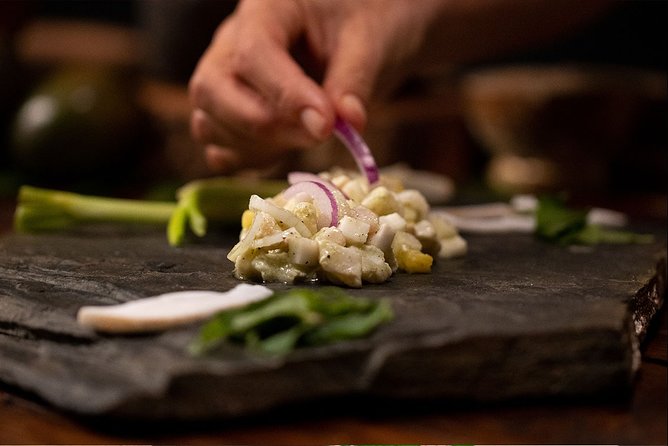Authentic Mayan Cooking Class in Cozumel - The opening: Mayan culture before the cooking