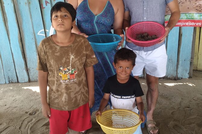 Baby Sea Turtle Releasing Sightseeing Tour with Luis de la Maza - Watching hatchlings emerge