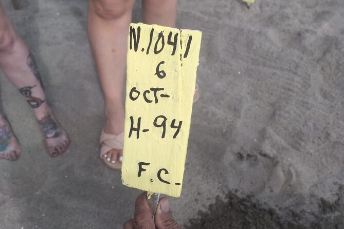 Baby Sea Turtle Releasing Sightseeing Tour with Luis de la Maza - The ride south to rural Mexico