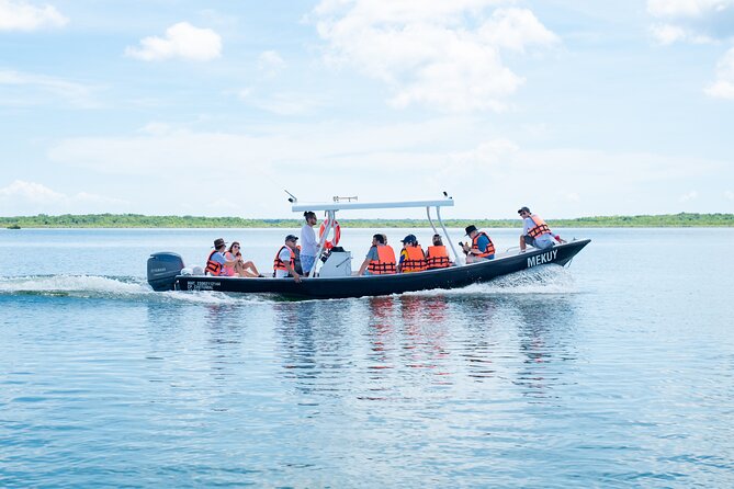 Bacalar Boat Tour and Visit to Cenotes - Weather, comfort, and the right kind of guest