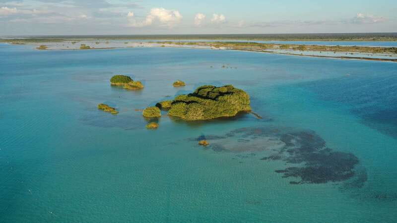 Bacalar: Group Sailing Trip with Swimming and Drinks - Fruit, drinks, and the right kind of easygoing