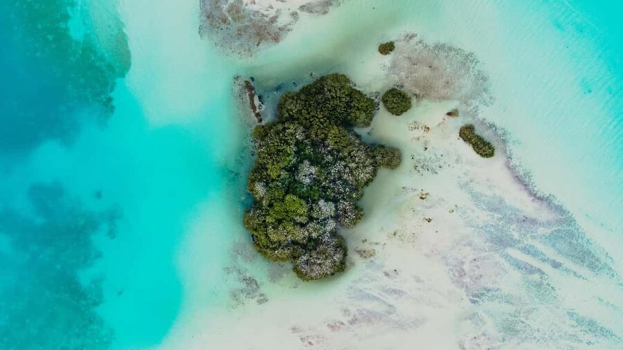 Bacalar Lagoon Sailing Tour with Open Bar and Mexican Lunch - Who will enjoy this Bacalar sailing tour