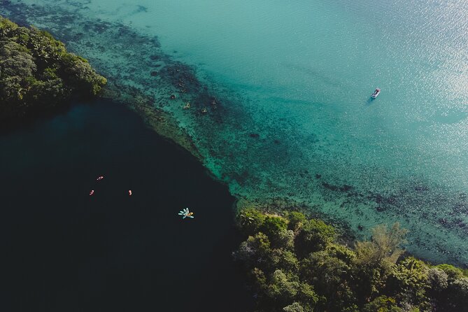 Bacalar Lagoon Sightseeing Boat Tour with Open Bar and Snacks - Emerald Cenote is made for a floating picnic