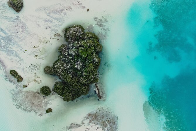 Bacalar Lagoon Sightseeing Boat Tour with Open Bar and Snacks - Black Cenote brings a change in mood