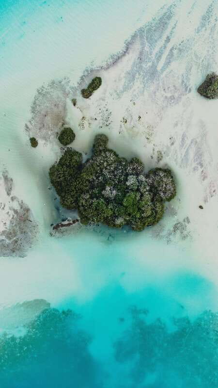 Bacalar Lagoon Sightseeing Boat Tour with Open Bar & Snack - Guides make the difference