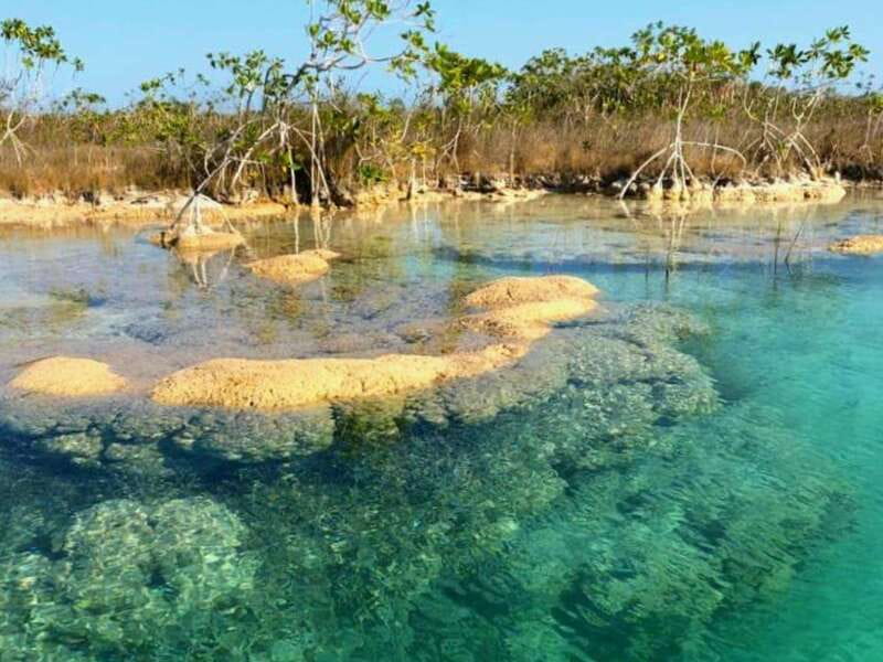 Bacalar: Magnificent Bacalar Lagoon Exclusive Boat Tour - Price, timing, and overall value
