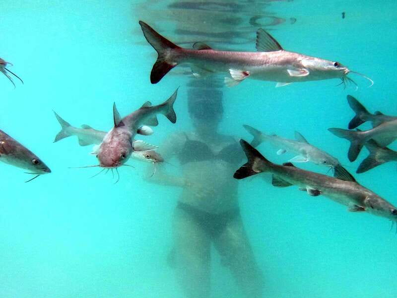 Bacalar: Magnificent Bacalar Lagoon Exclusive Boat Tour - Swimming and snorkeling at three stops
