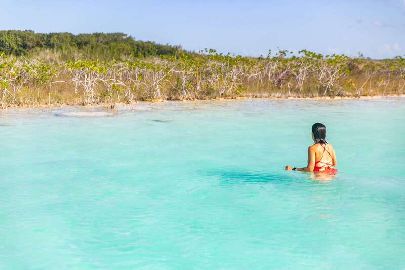 Bacalar: Private Sailboat Tour with Lagoon Swimming - Bird Island and wildlife viewing