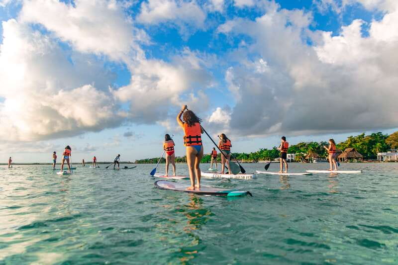 Bacalar: Sunrise Paddleboard Tour with Floating Picnic - Sunrise and birds at Isla de los Pájaros