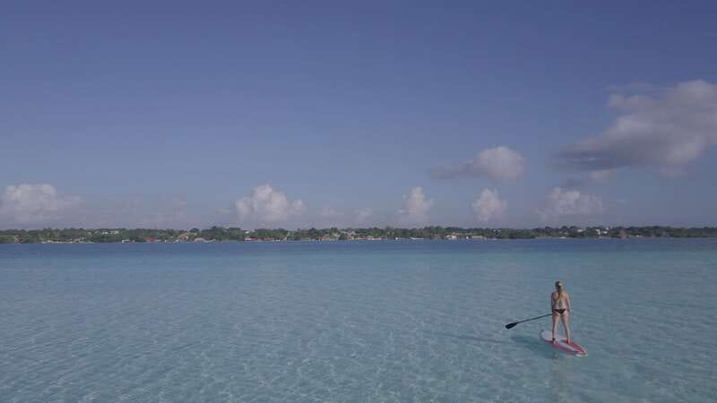Bacalar Sunrise Stand Up Paddleboard: A Unique Experience - Birds, Plants, and the Water Around You