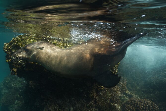 Balandra Private Boat Tour - Timing, weather, and booking details
