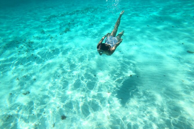 Bavarian Fiesta Snorkel Activity in Glass Bottom Boat at San Miguel de Cozumel - Shipwrecks, reefs, and the southern stops