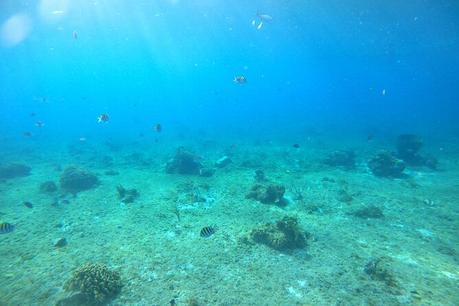 Bavarian Fiesta Snorkel Activity in Glass Bottom Boat at San Miguel de Cozumel - Leaving the marina near Puerto de Abrigo