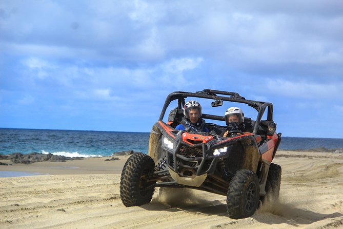 Beach and Desert Premium X3 UTV Tour in Cabo - Key points at a glance