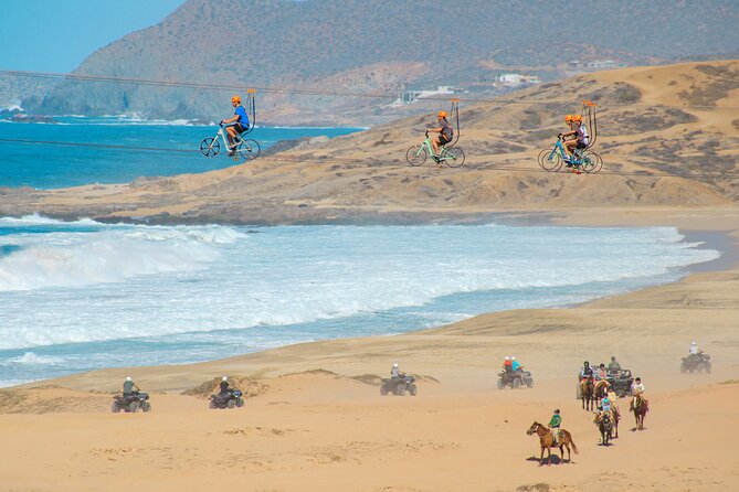 Beach ATV Adventure, Free Horseback Ride, and Sky Bike Experience - A quarter horse along the Pacific