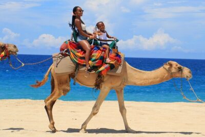 Beach, ATV, and Camel Ride Combo Tour
