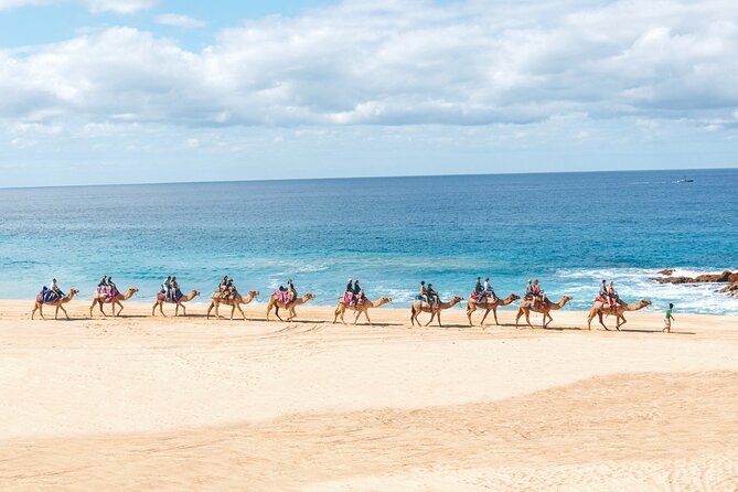 Beach Camel Ride and Encounter in Cabo - Camel riding beside Migrino Beach